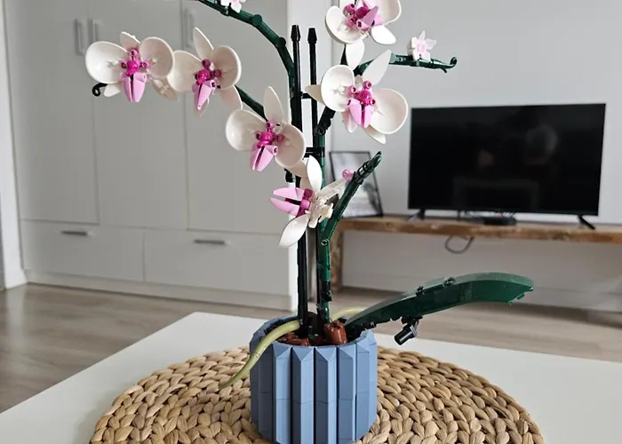 Studio Pieskowa Skala